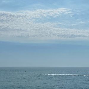 Meet your Posher, Monti